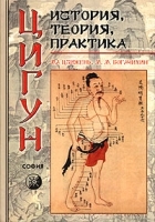 Цигун История, теория, практика артикул 6468a.